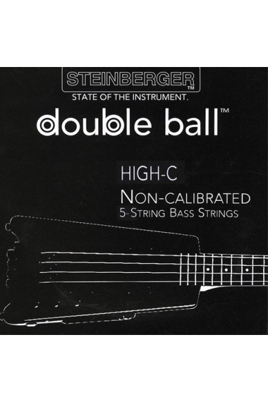 Steinberger 5 String Bass Guitar-High C