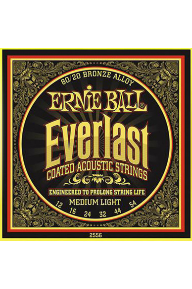 Ernie Ball Everlast 80/20 12-54