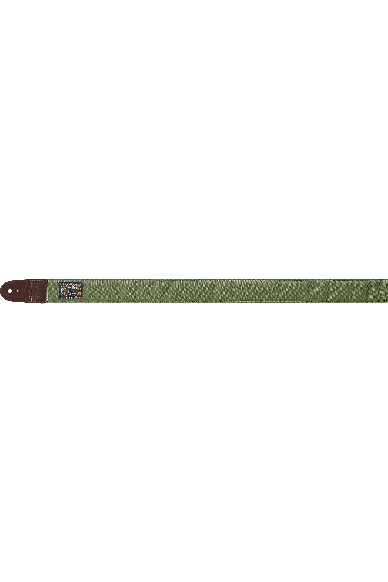 IBANEZ  DCS50-MGN Charcoal Moss Green