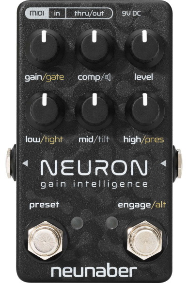 Neunaber Audio Neuron
