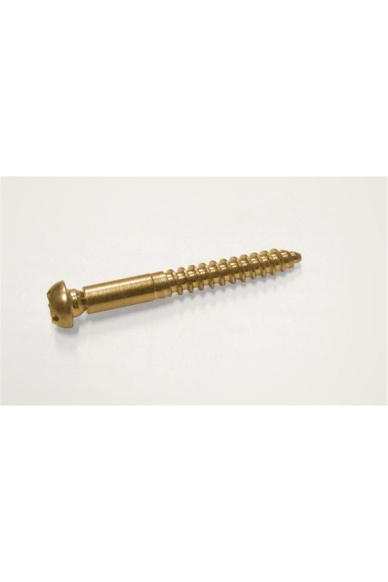 ACC4024 Tremolo screws (set 6) GOLD