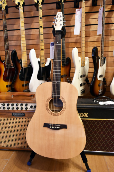 Seagull Excursion Natural Dreadnought Isys+