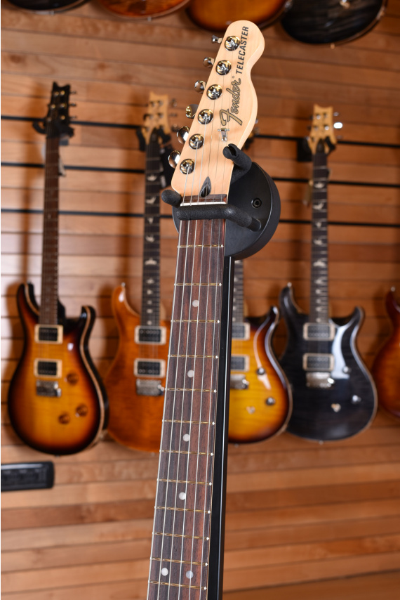 Fender Mexico Deluxe Thinline Telecaster Rosewood Fingerboard 3
