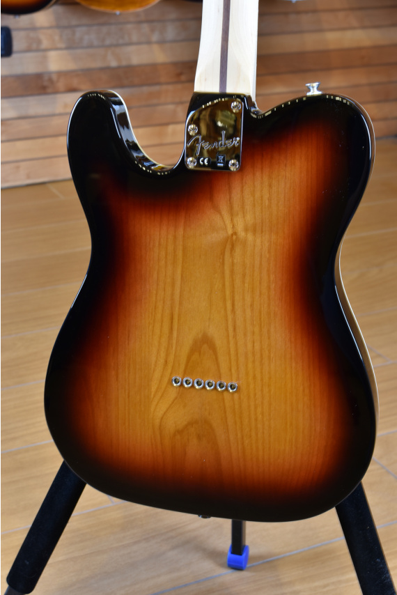 Fender Mexico Deluxe Thinline Telecaster Rosewood Fingerboard 3