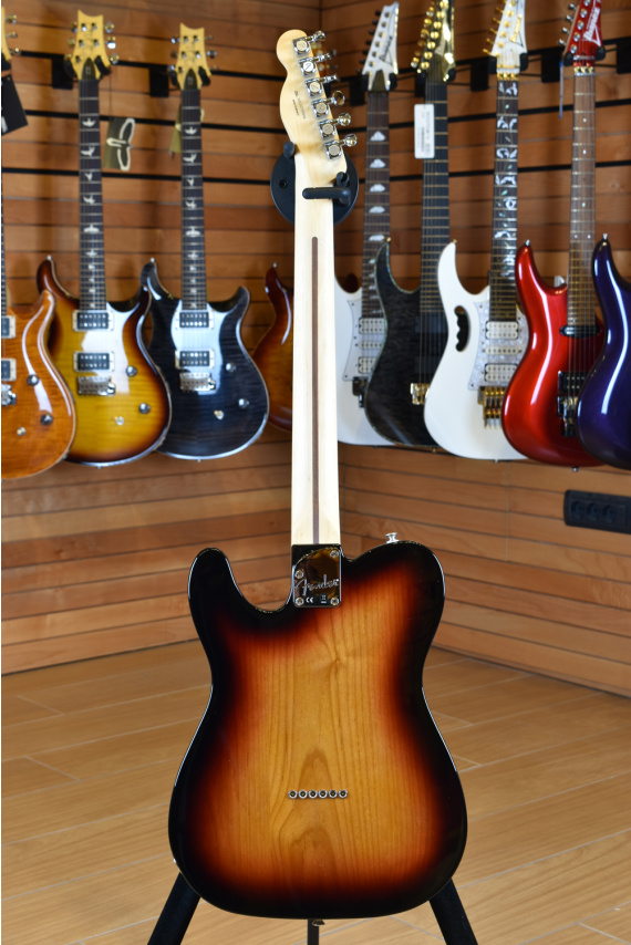 Fender Mexico Deluxe Thinline Telecaster Rosewood Fingerboard 3
