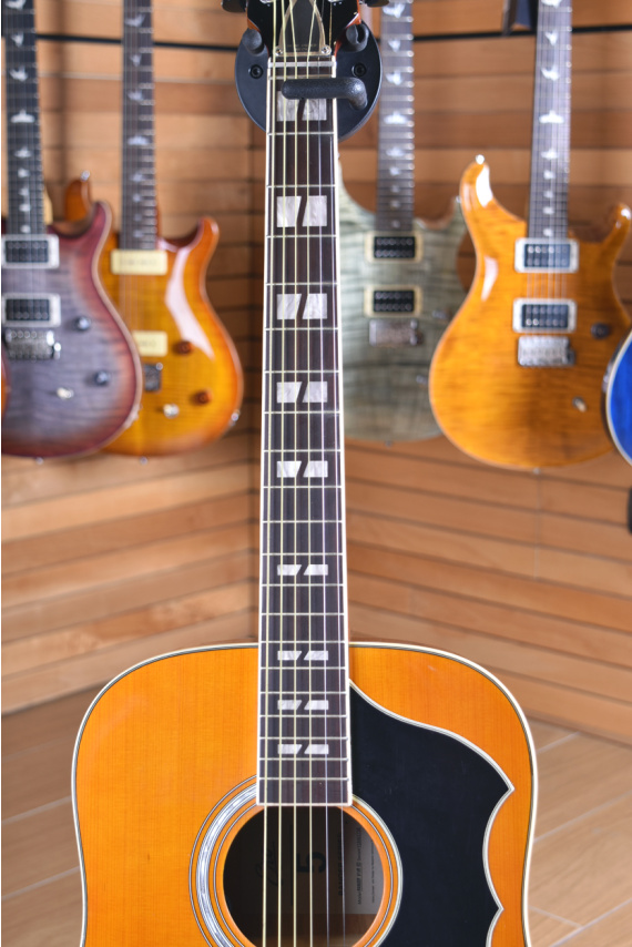 EKO Ranger VI VR Nat Top Stained EQ 未使用 EKO Ranger VI VR EQ