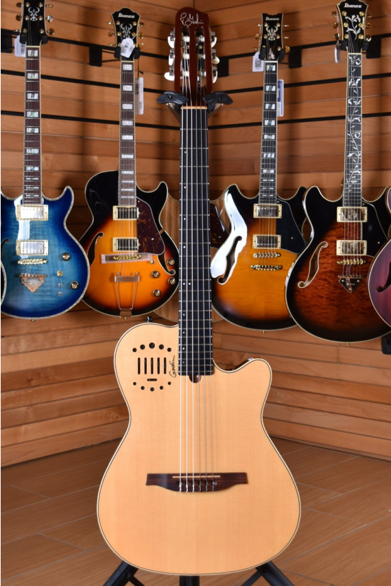 Godin Multiac Steel Duet Ambiance